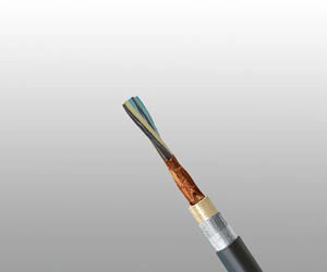 S2 or S2/S6 RFOU(i) 250V